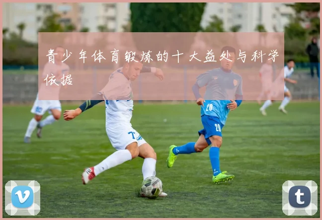 青少年体育锻炼的十大益处与科学依据