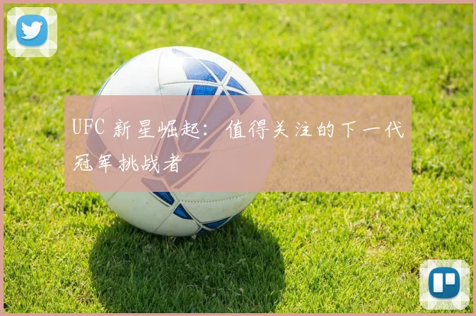 UFC 新星崛起:值得关注的下一代冠军挑战者