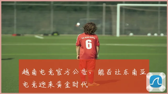 越南电竞官方公告,能否让东南亚电竞迎来黄金时代